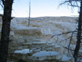 pretty terraces.JPG